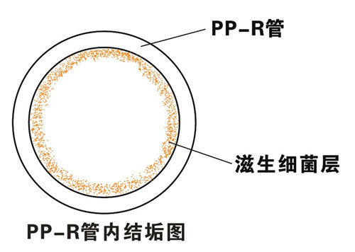 PP-R滲氧，易滋生細(xì)菌，有異味；腐蝕金屬連接件，降低使用壽命